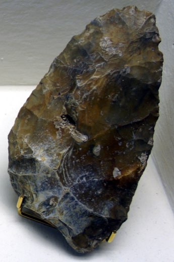de la collection du musée.